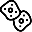 Wada